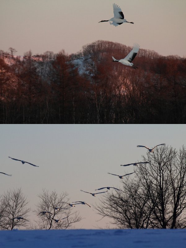 ファイル 368-3.jpg