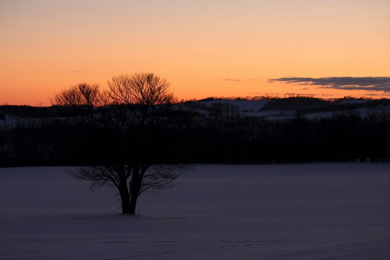 ファイル 368-5.jpg