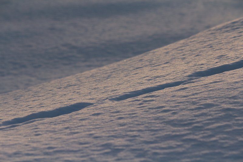 ファイル 369-2.jpg