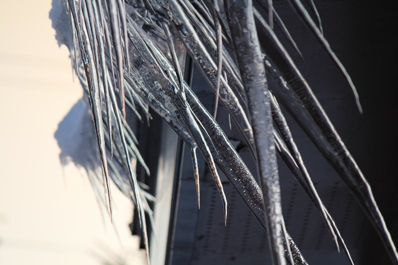 ファイル 369-4.jpg