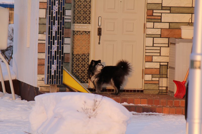 ファイル 369-5.jpg