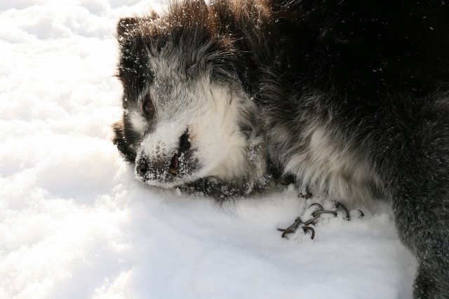 ファイル 372-2.jpg