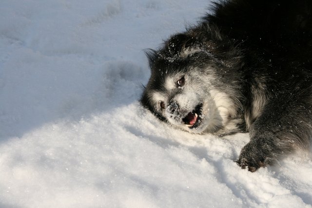 ファイル 372-3.jpg