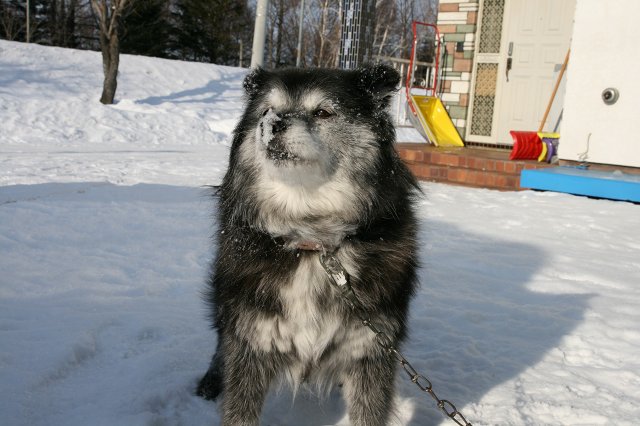 ファイル 372-4.jpg