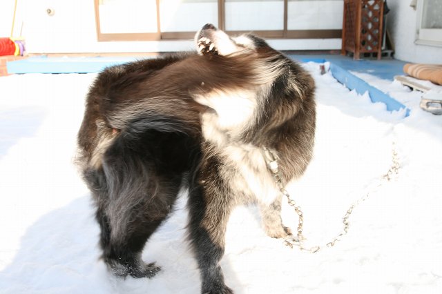 ファイル 372-5.jpg