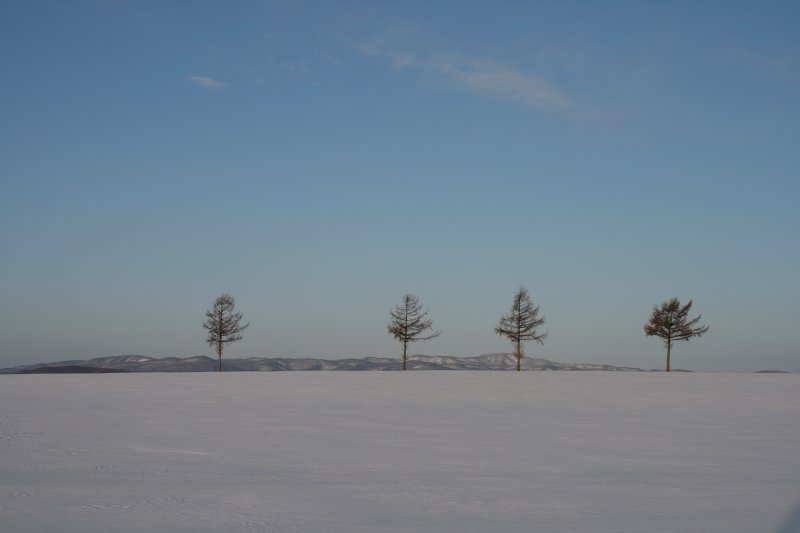 ファイル 375-3.jpg