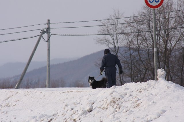 ファイル 377-1.jpg