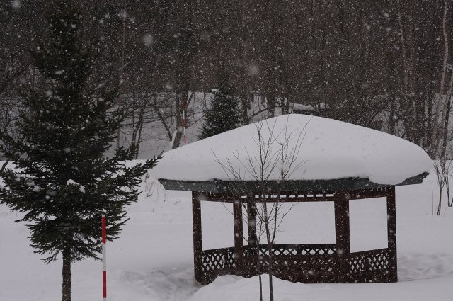 ファイル 377-2.jpg