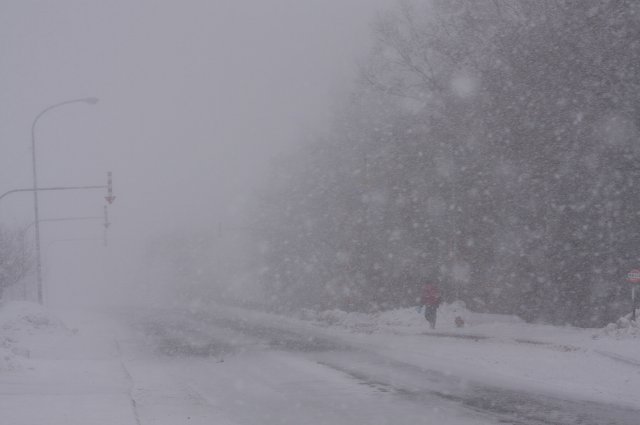 ファイル 377-3.jpg