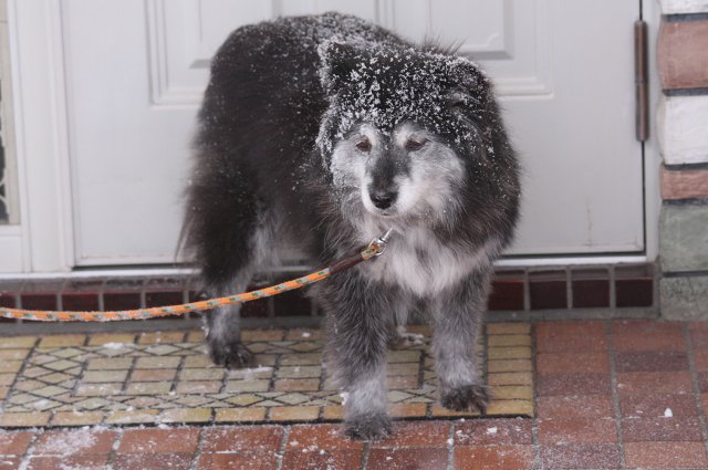 ファイル 377-4.jpg