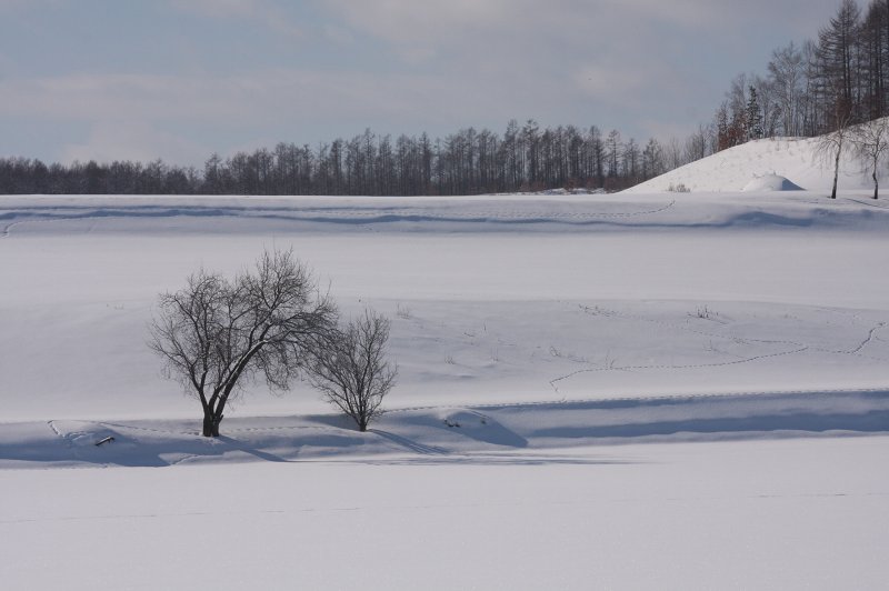 ファイル 381-1.jpg