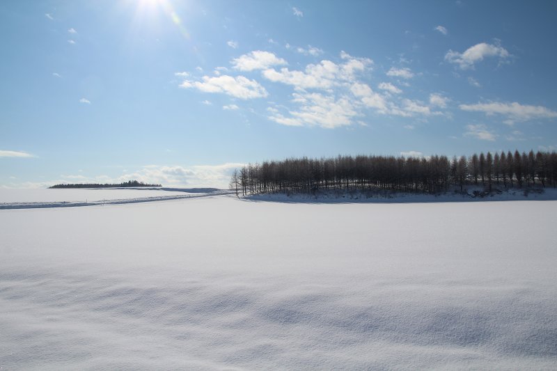 ファイル 381-3.jpg