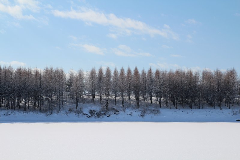 ファイル 381-4.jpg