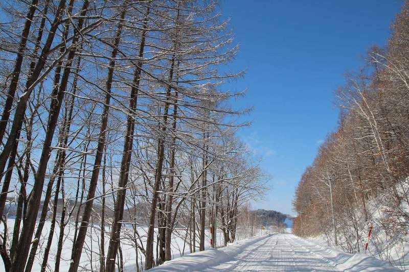 ファイル 381-5.jpg