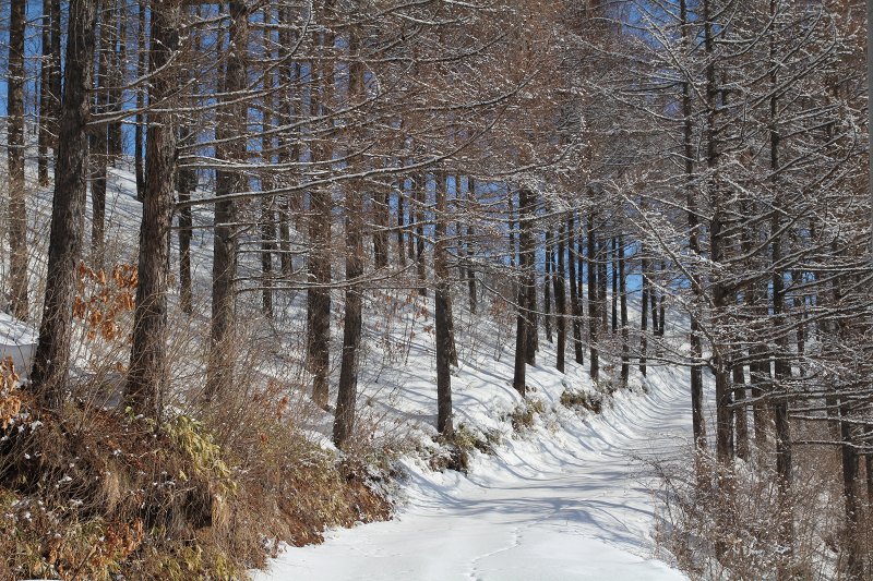 ファイル 382-1.jpg