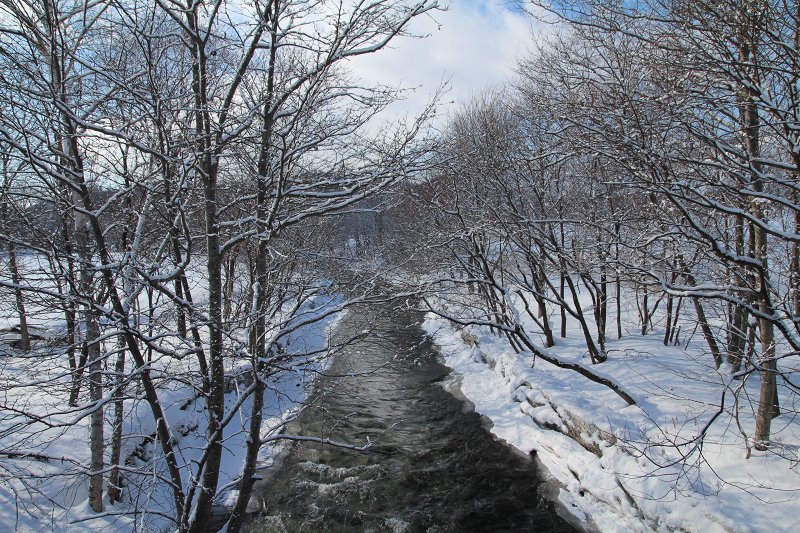 ファイル 382-2.jpg