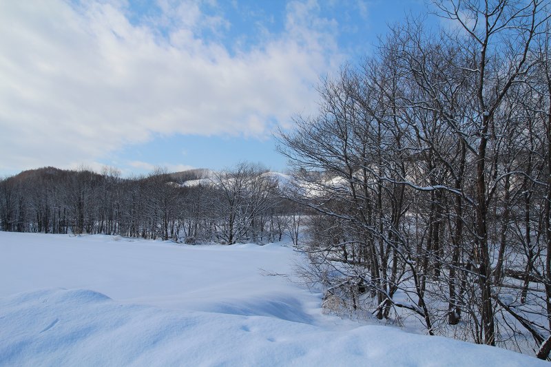 ファイル 382-3.jpg