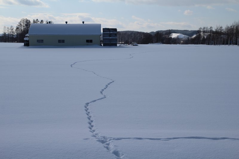 ファイル 382-4.jpg