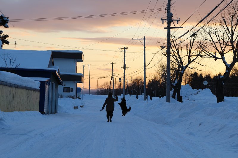 ファイル 383-2.jpg