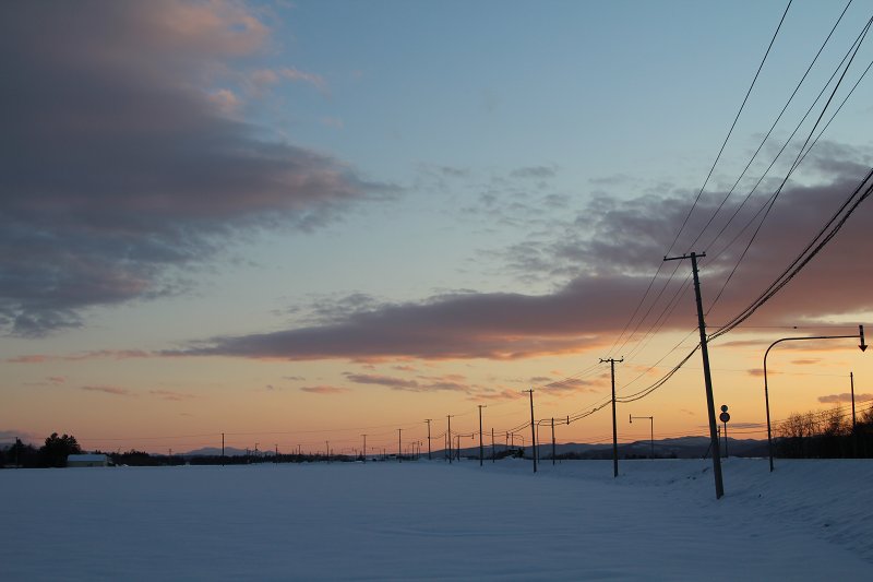 ファイル 383-3.jpg