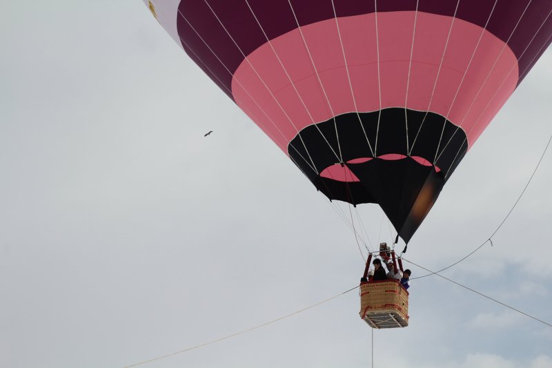 ファイル 385-2.jpg