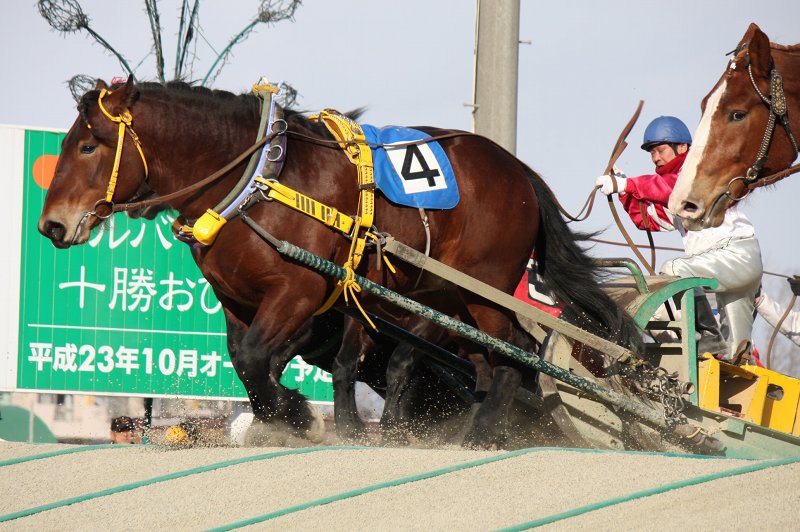 ファイル 387-3.jpg