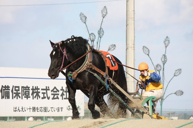 ファイル 388-1.jpg