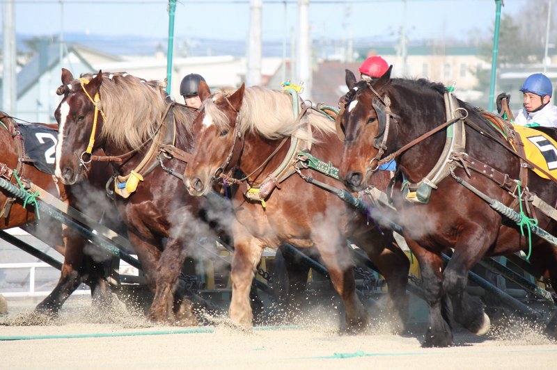 ファイル 391-3.jpg