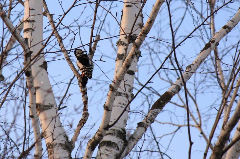 ファイル 392-2.jpg