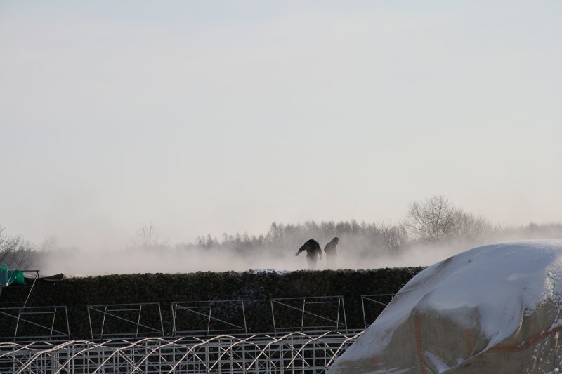 ファイル 395-1.jpg