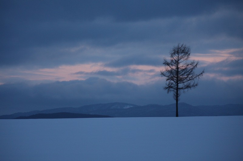 ファイル 401-1.jpg