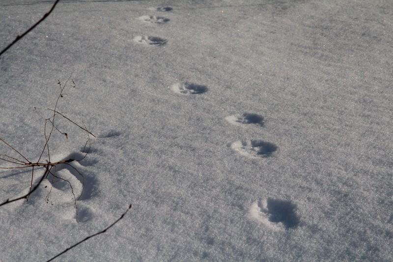 ファイル 402-3.jpg