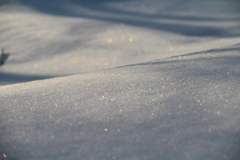 ファイル 402-4.jpg