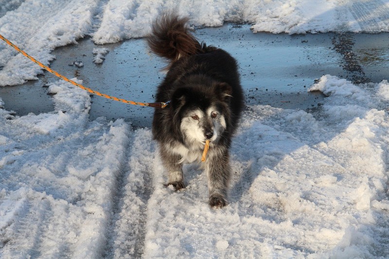 ファイル 402-5.jpg