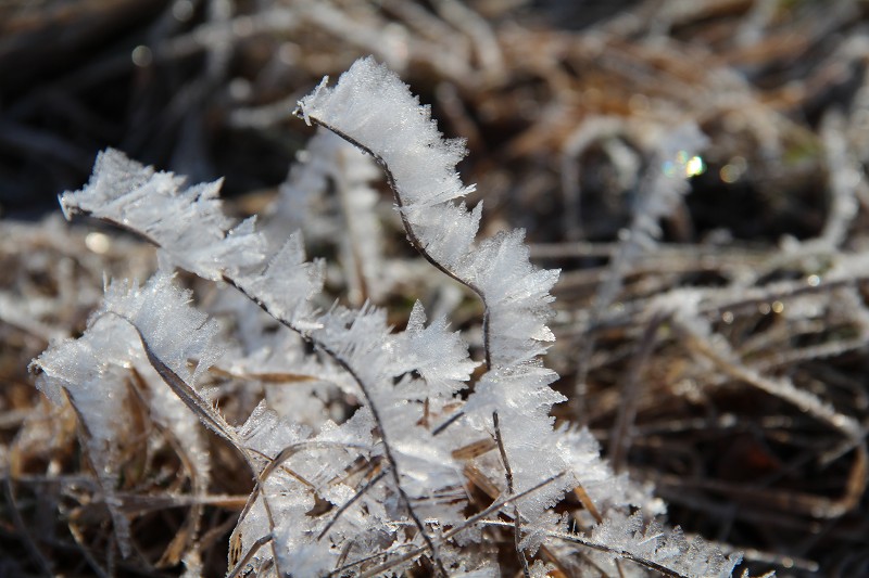 ファイル 404-1.jpg