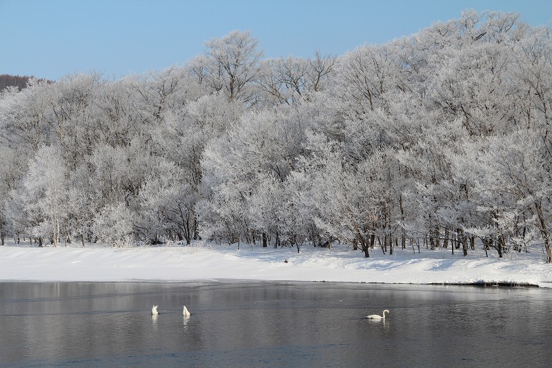 ファイル 404-4.jpg