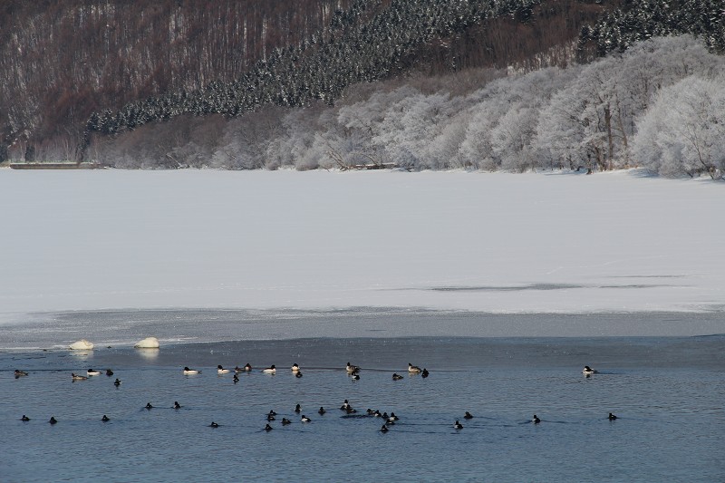 ファイル 404-5.jpg