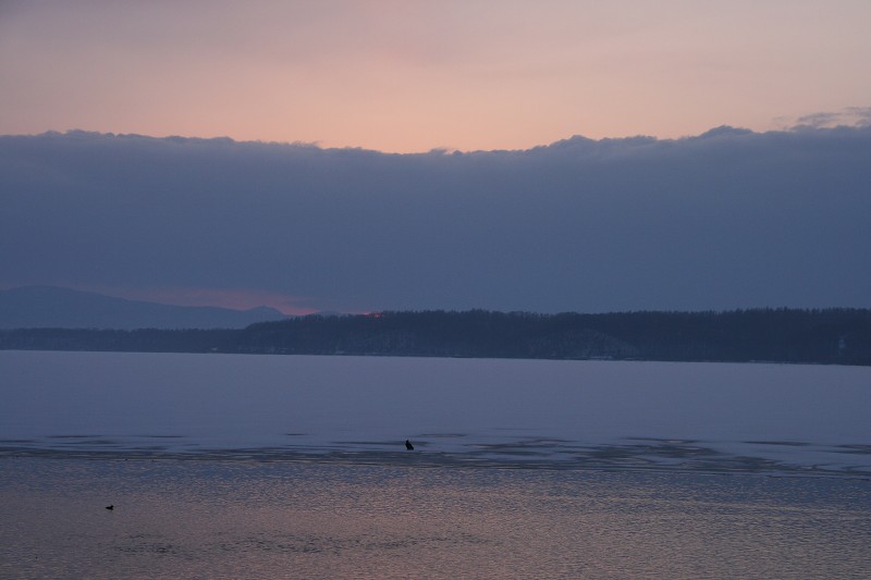 ファイル 408-1.jpg