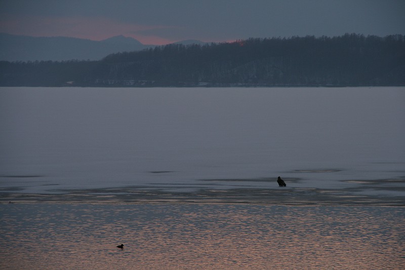 ファイル 408-2.jpg