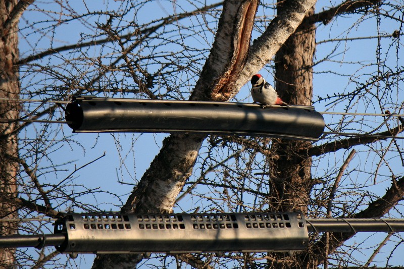 ファイル 411-2.jpg