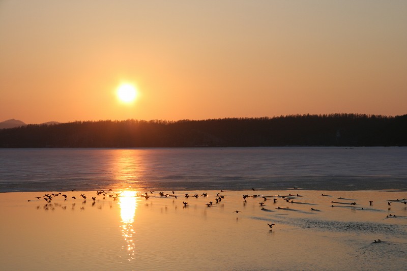 ファイル 411-4.jpg