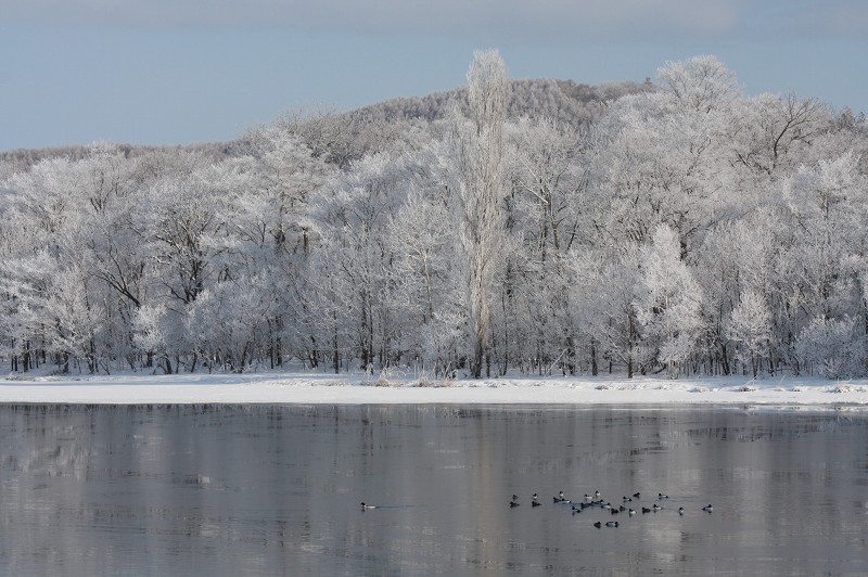 ファイル 413-3.jpg