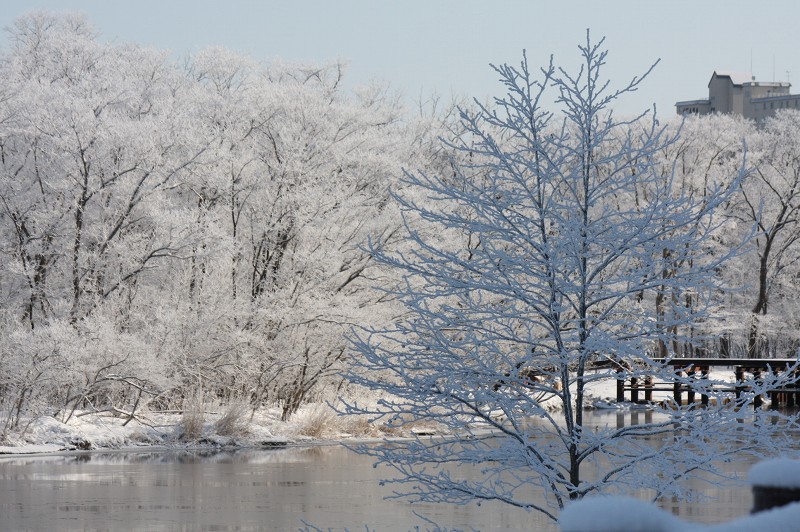 ファイル 413-4.jpg