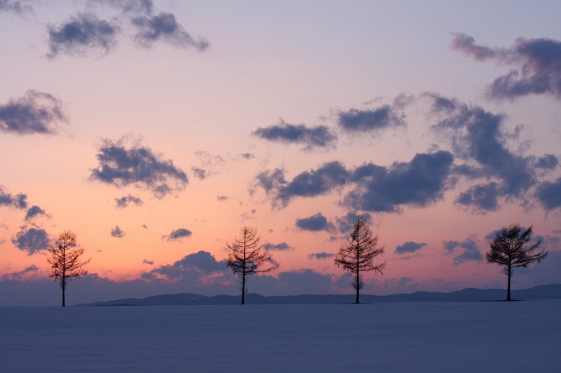 ファイル 413-5.jpg