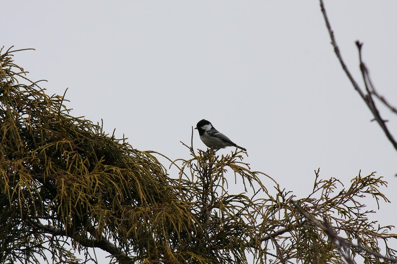 ファイル 415-2.jpg