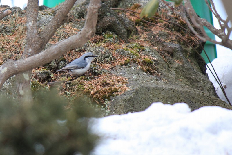 ファイル 415-4.jpg