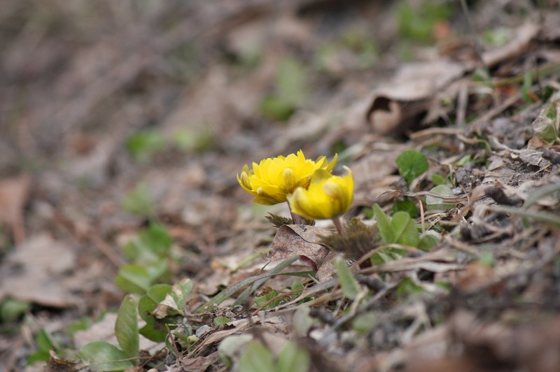 ファイル 415-5.jpg