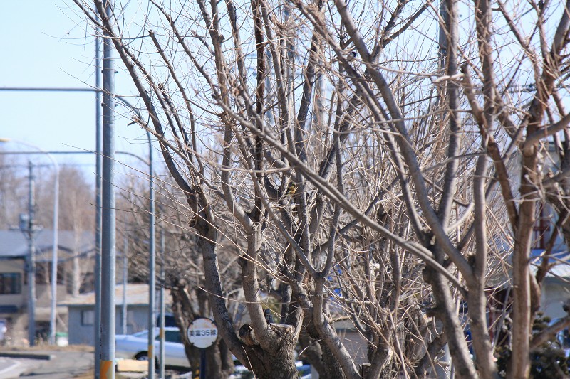 ファイル 416-1.jpg