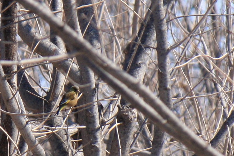 ファイル 416-2.jpg