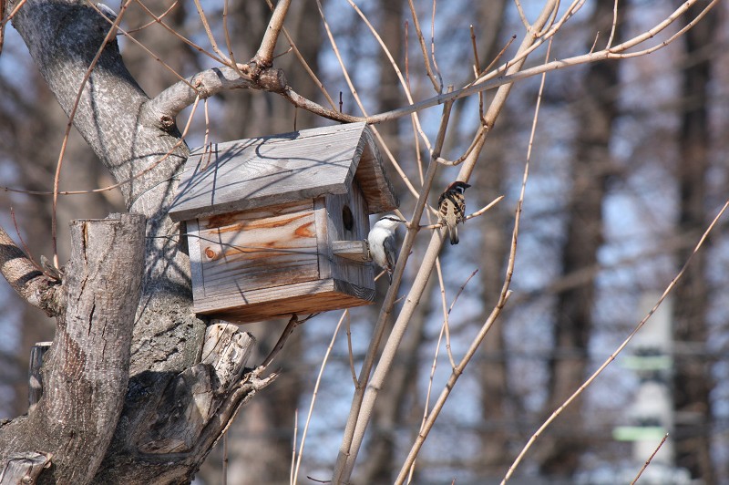 ファイル 416-3.jpg